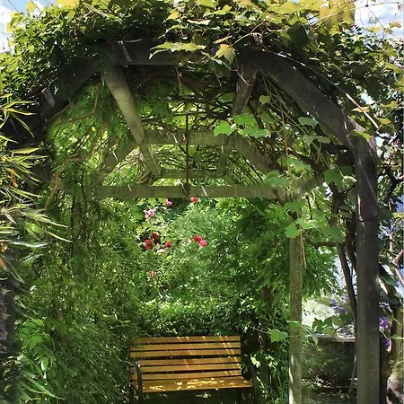 Silverlake Daire *